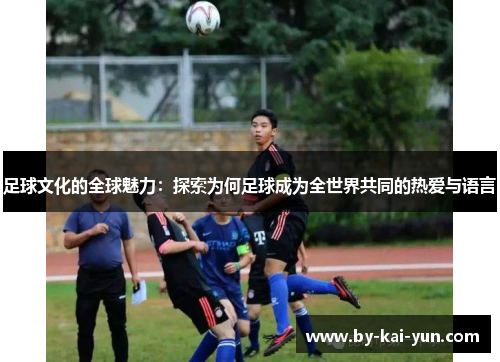 足球文化的全球魅力：探索为何足球成为全世界共同的热爱与语言
